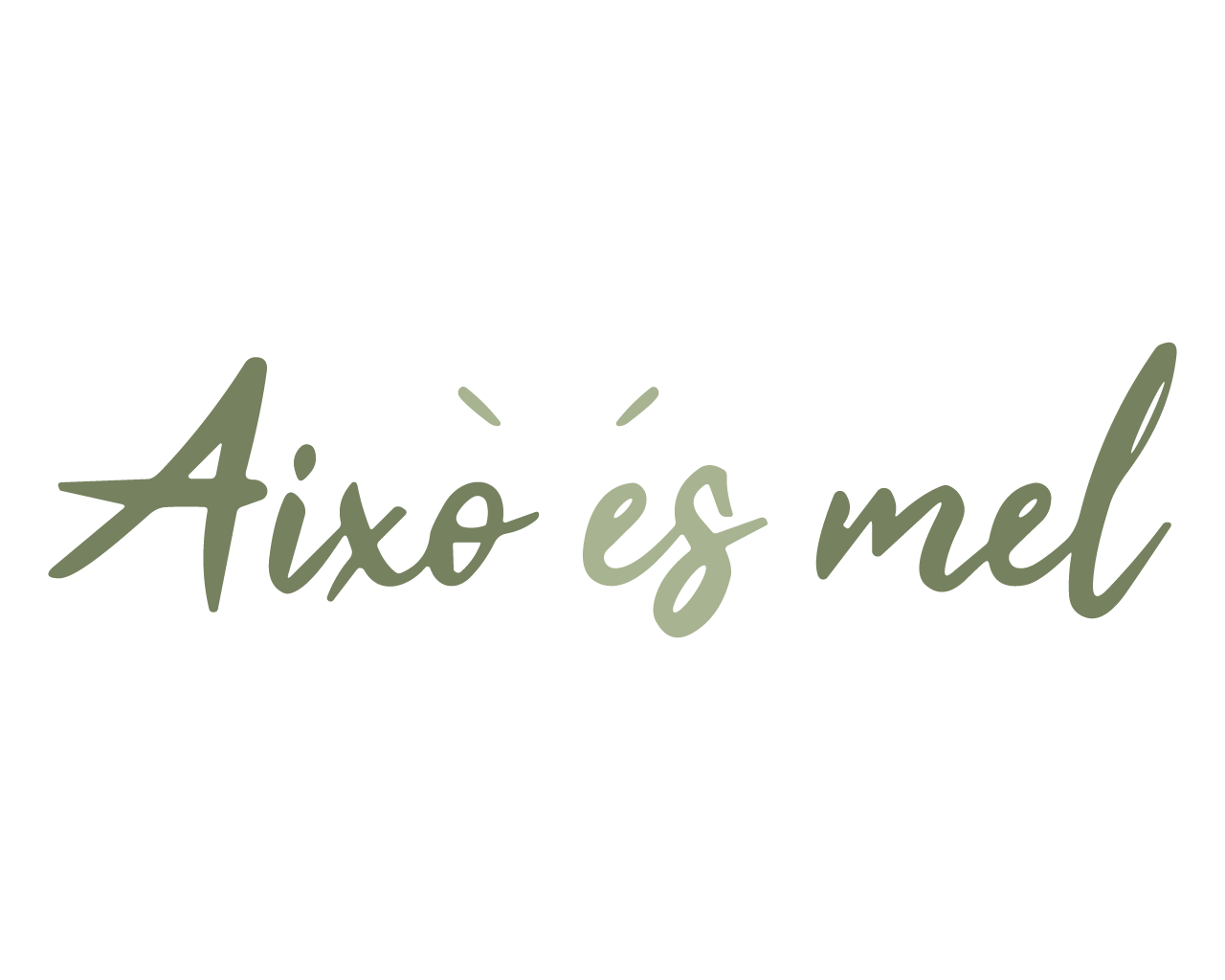 Aixo Es Mel - Logo color